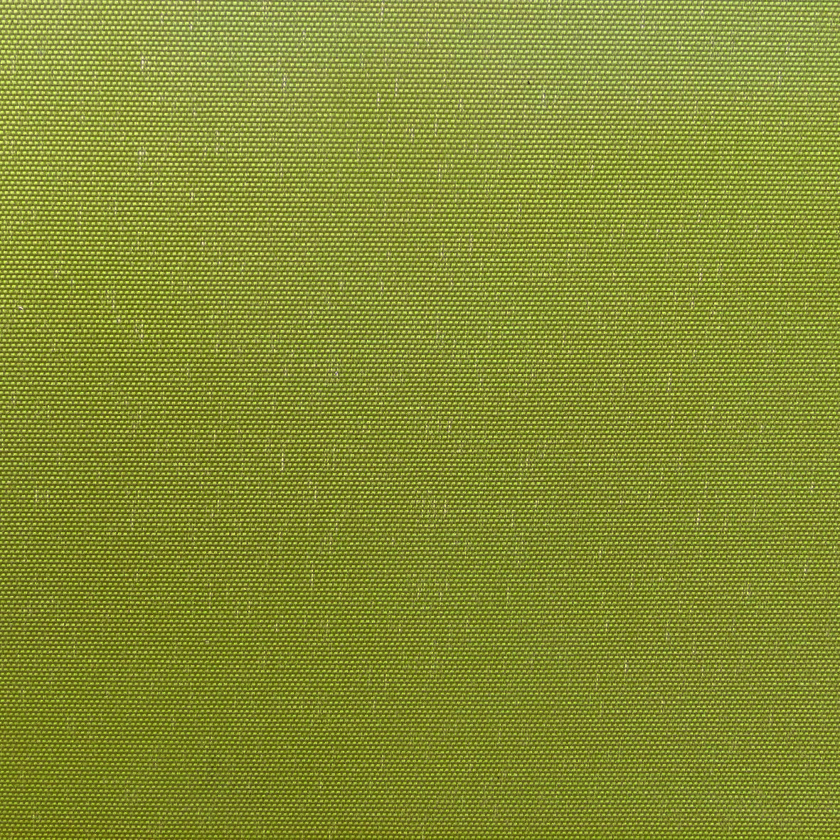 簡約透光草綠捲簾 (Skive - Grass)